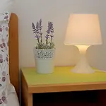 Zdenka Appartement *